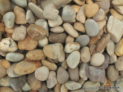 大鹅卵石