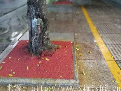 彩色透水胶粘石树坑